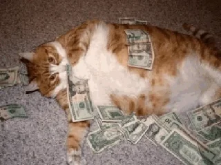 @rv0taenota коты с бабками
