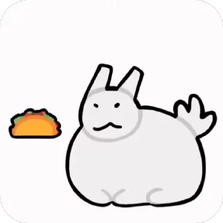🌮