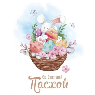 🐰