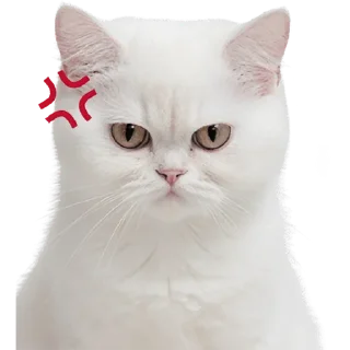 😤