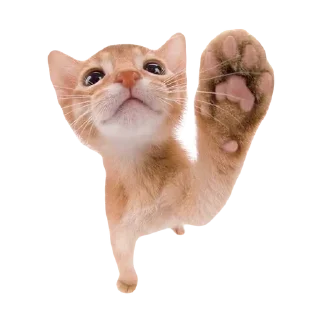 💕