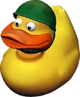 🐦