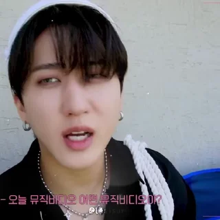 🕊