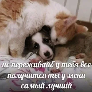 ❤️