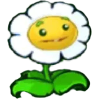 🌼