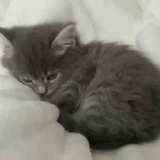 😴