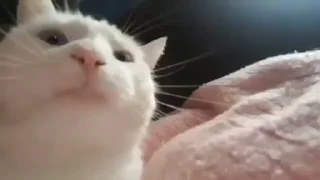 😁