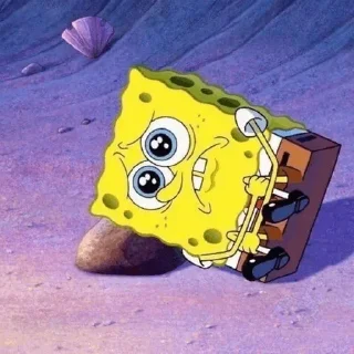 🧽