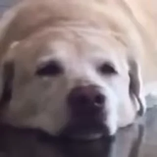 😁