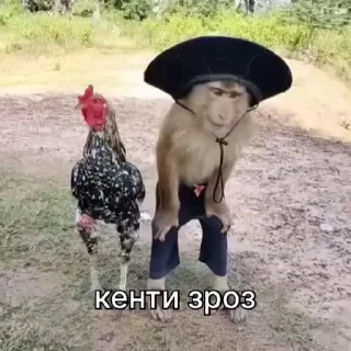 🤝