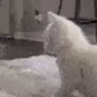 😳