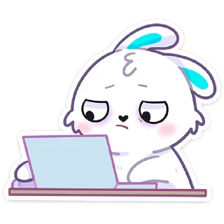 🐰