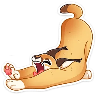 🥱