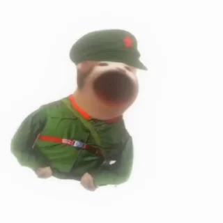 🇨🇳
