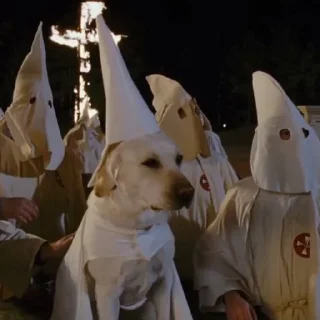 👻