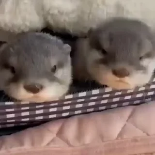😘