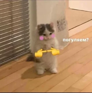 👉
