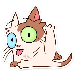 😼