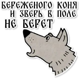 🐎