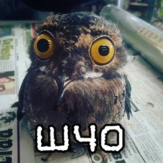😮