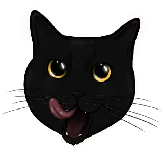 😼