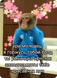 🌟