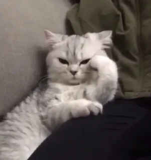 😒