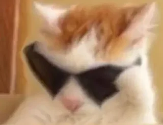 😎