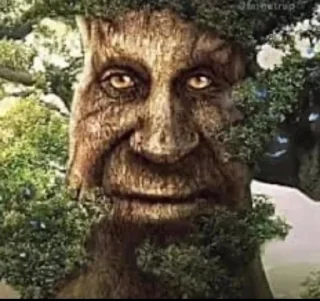 Mytstical Tree