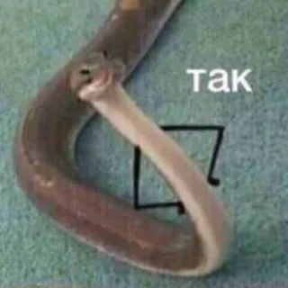 😯
