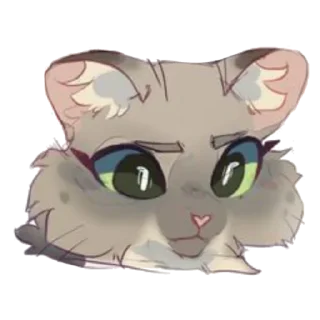 🐱