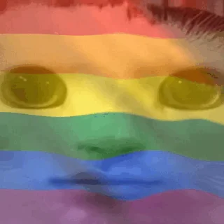 🏳️‍🌈