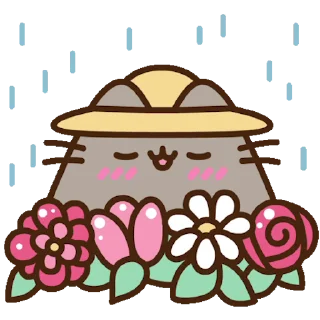 🌧