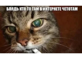 😠