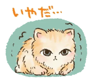 🐱