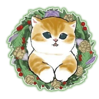 🐱