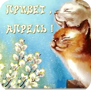 🐱
