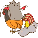 🐥