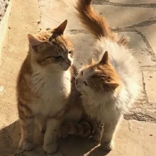💗