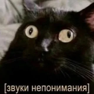 😨