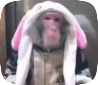 😗