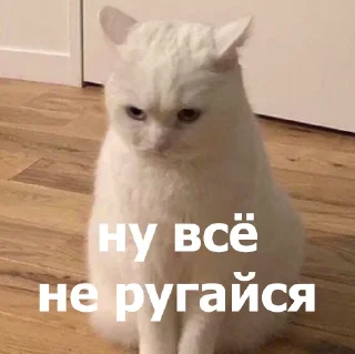 🥺