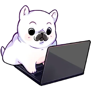 👨‍💻
