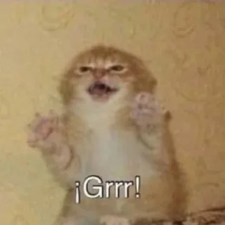 😡