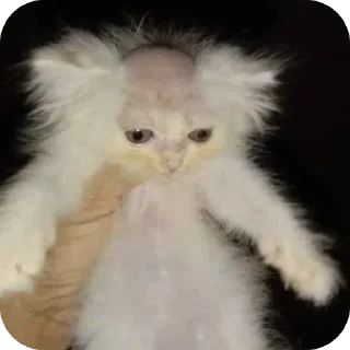 🥺