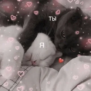 💜
