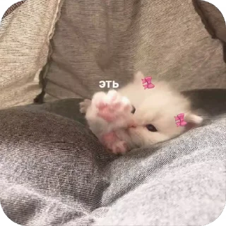 🥰