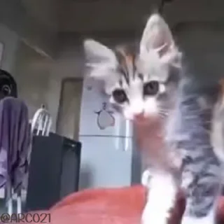 🤝