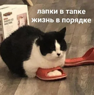 🙏