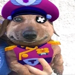 🐶